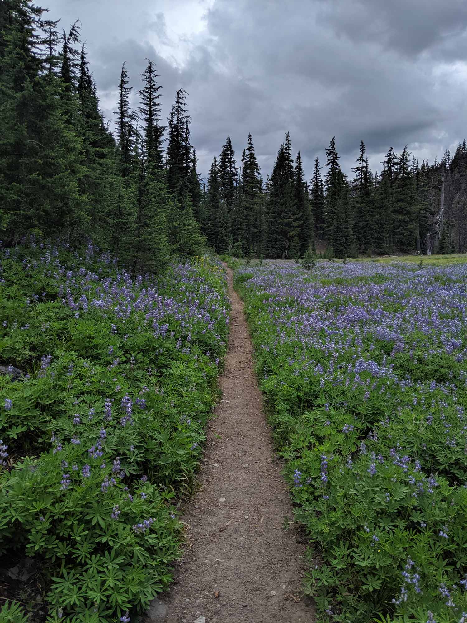 Three sisters loop