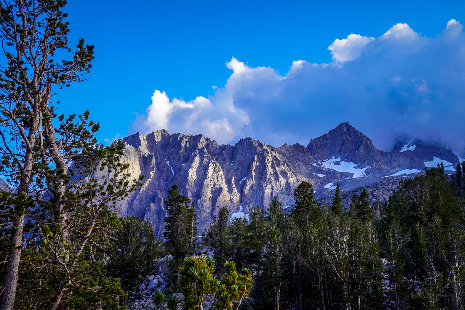 The Palisade Range