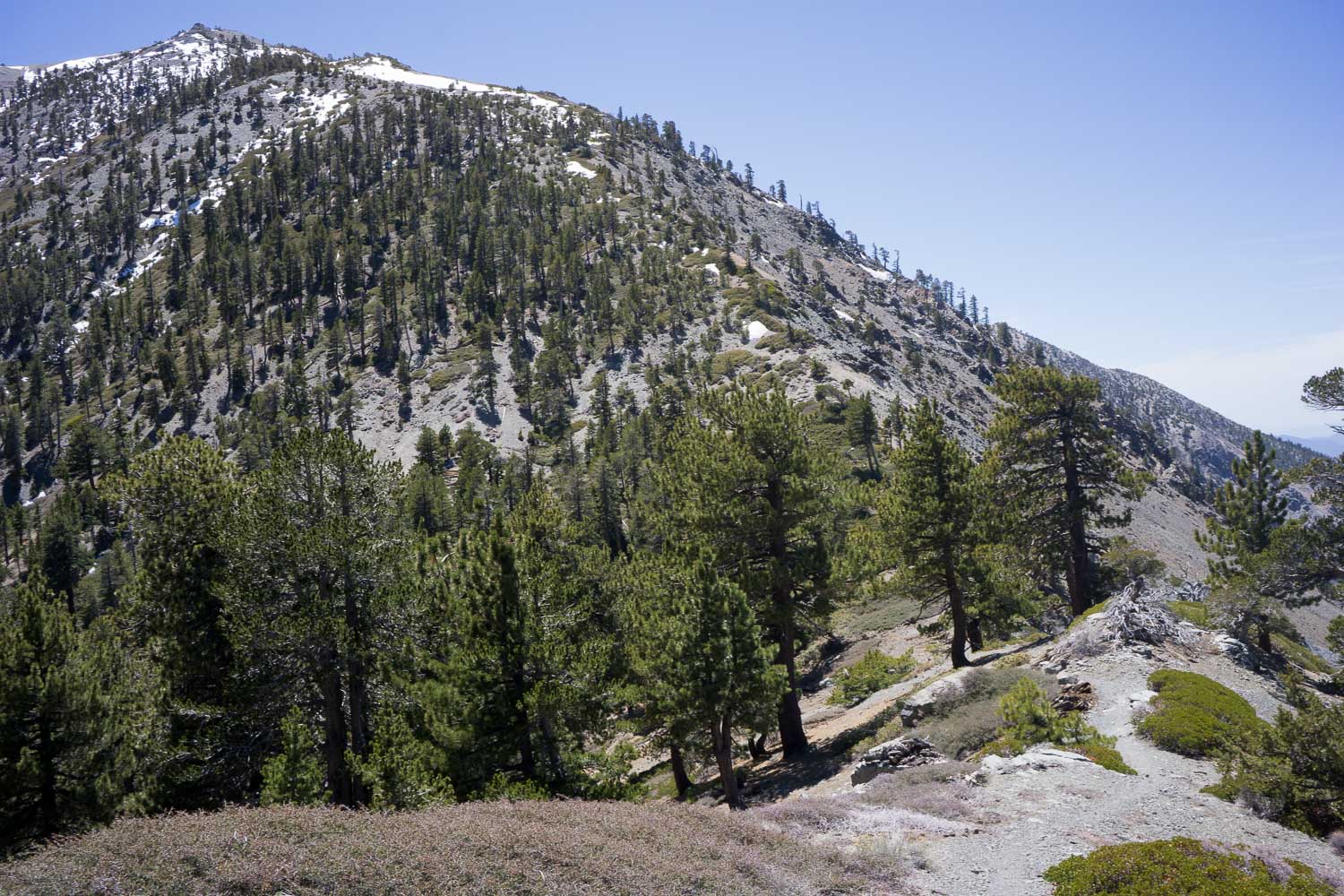 Mount Baldy