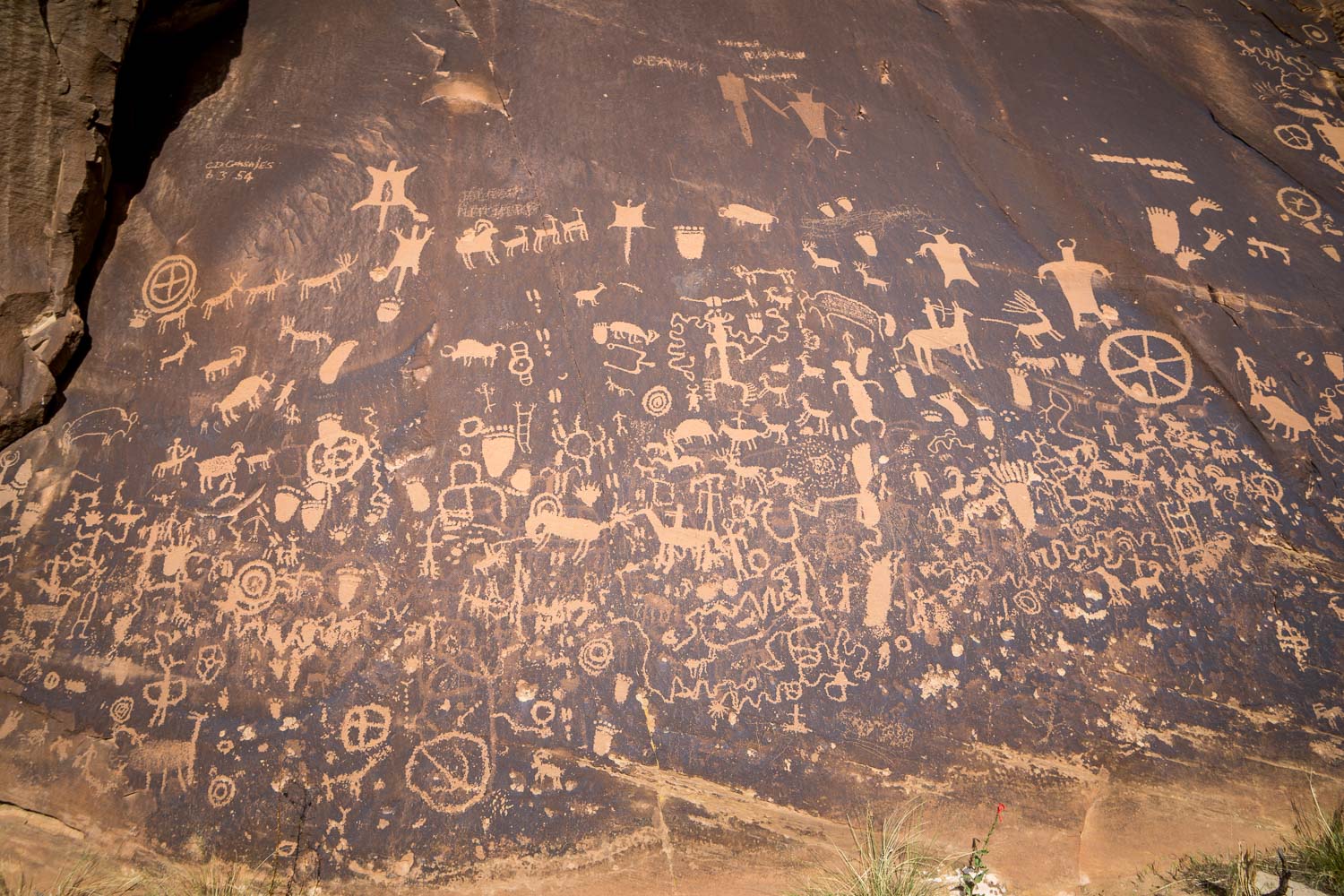 Newspaper Rock