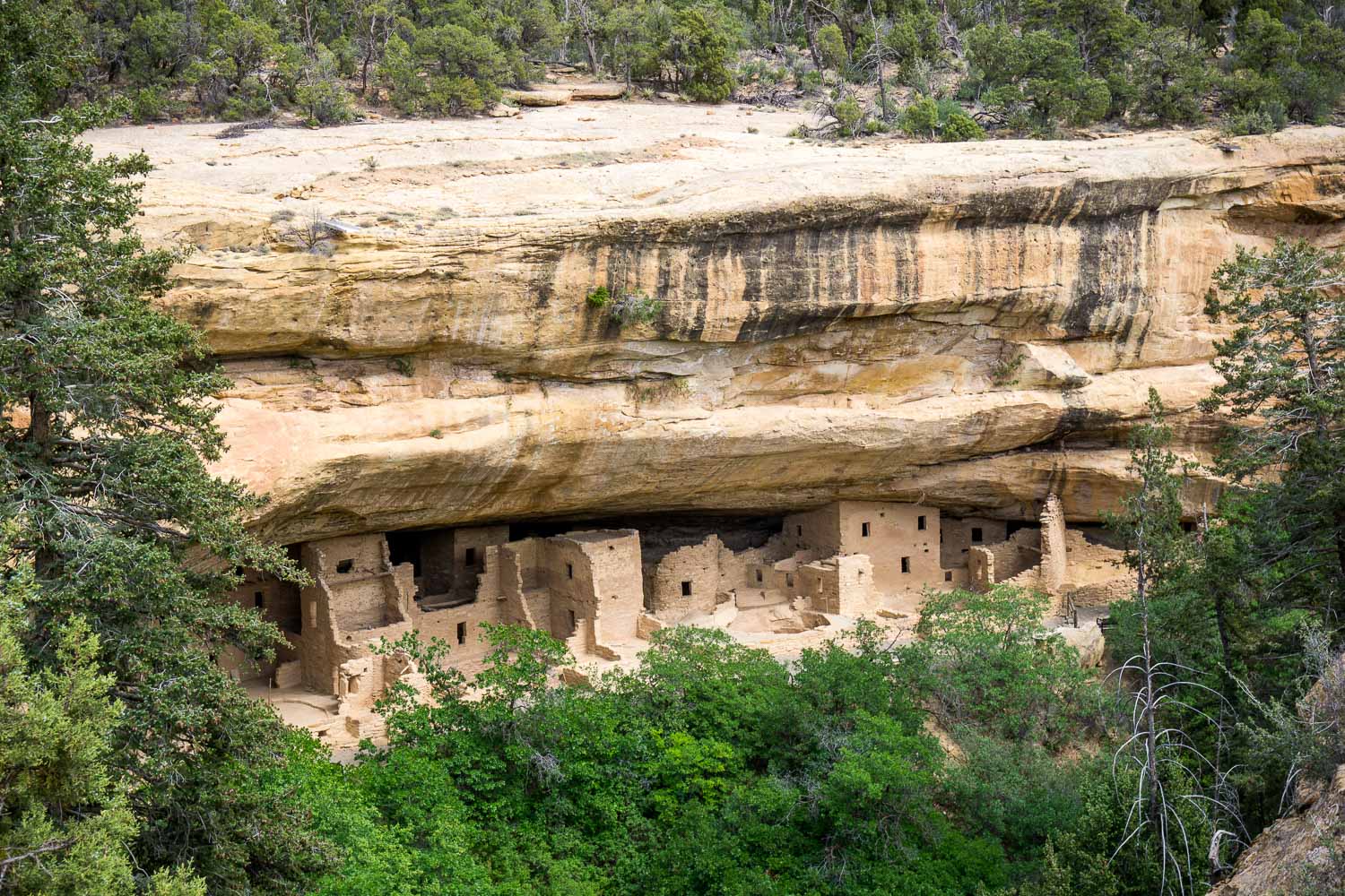 Mesa Verde