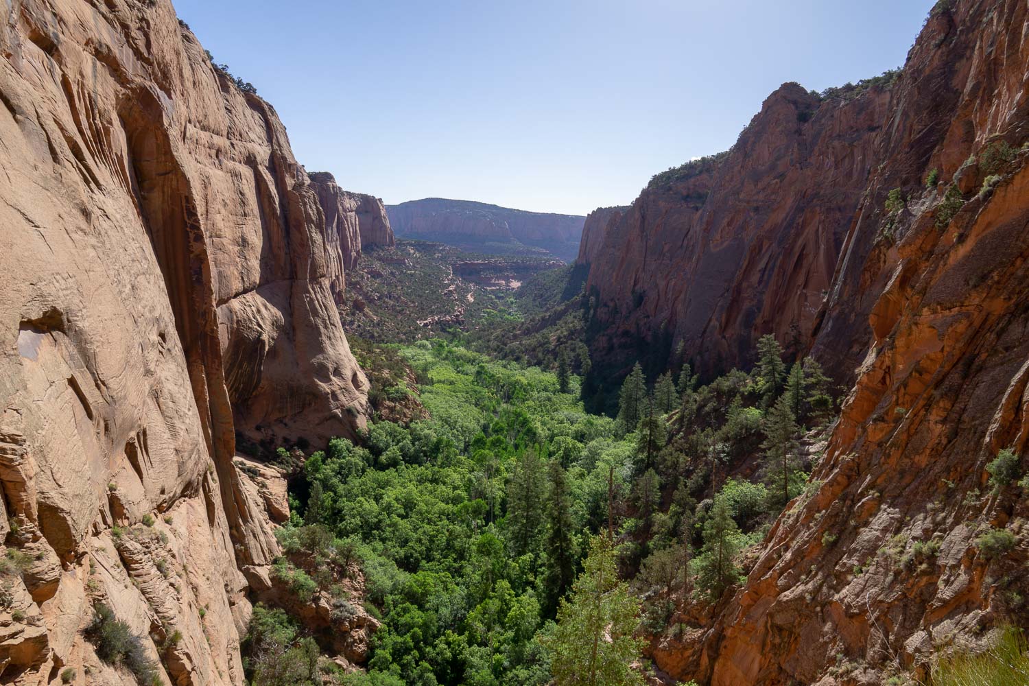Navajo National Monument
