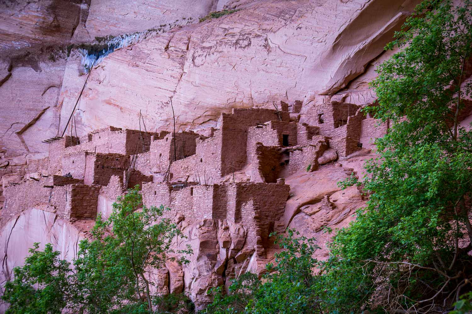 Navajo National Monument