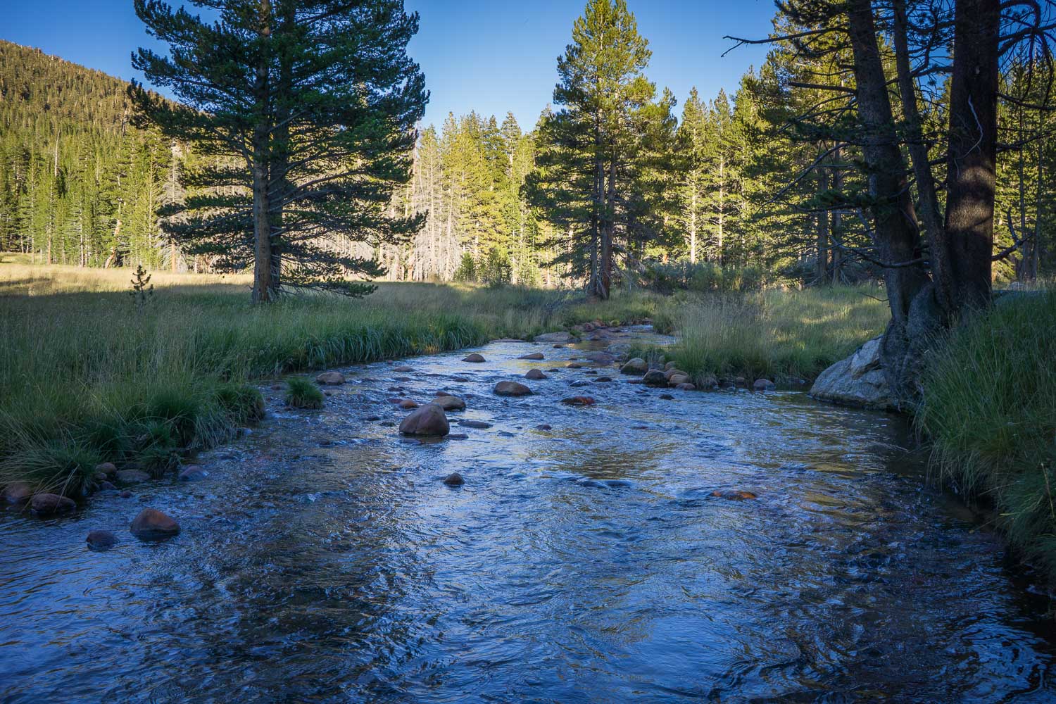 Rock Creek