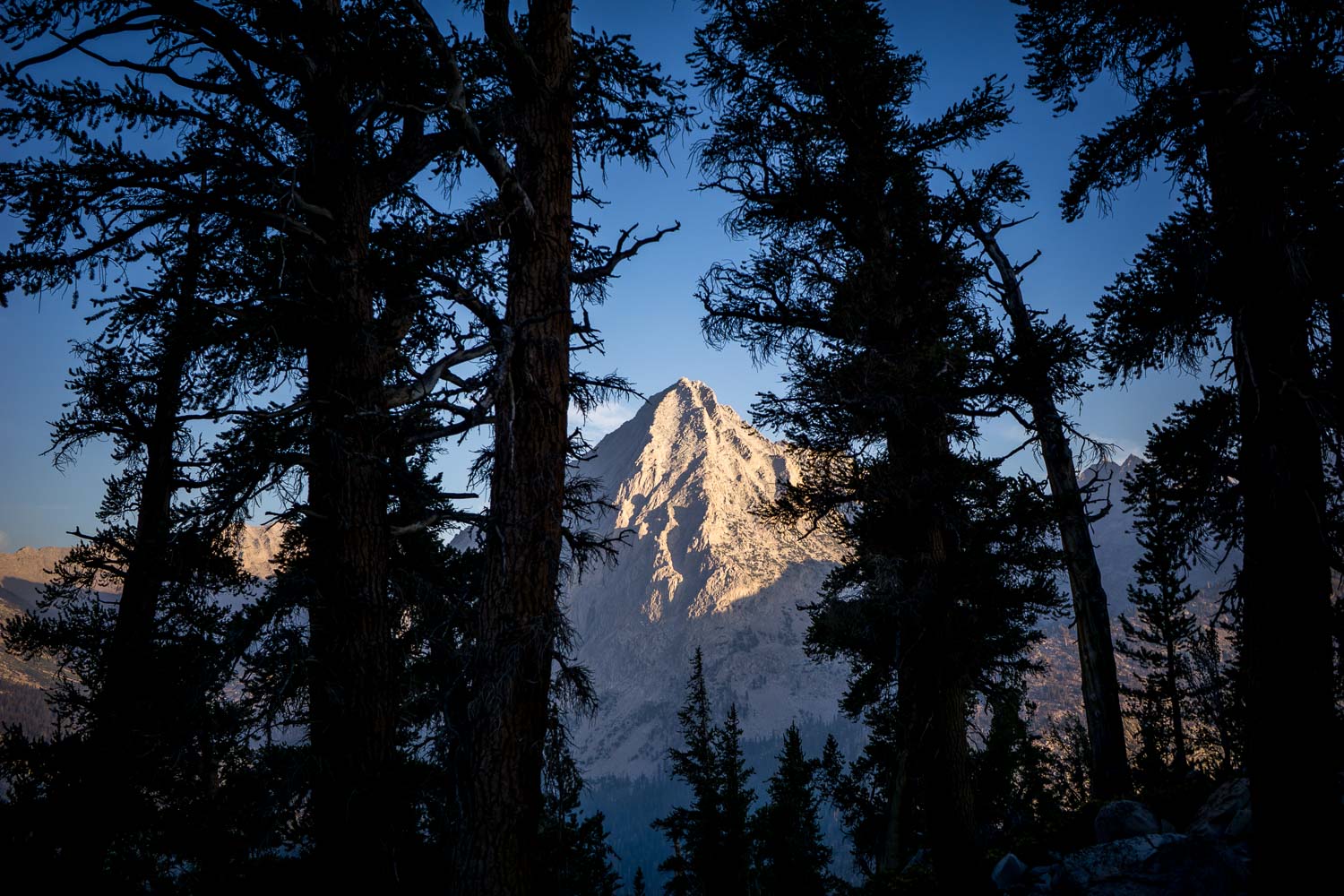 East Vidette Peak