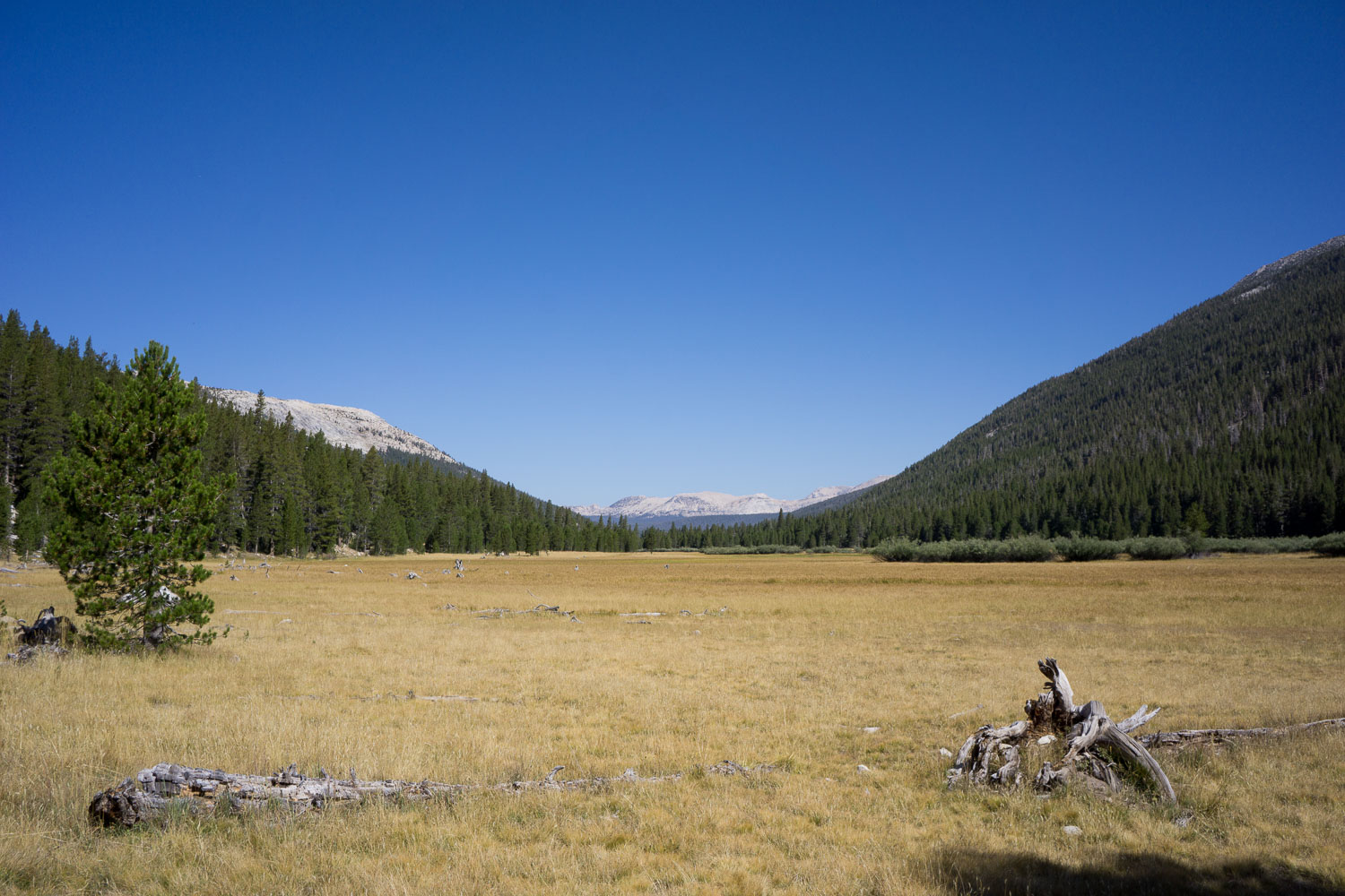 Lyell Canyon