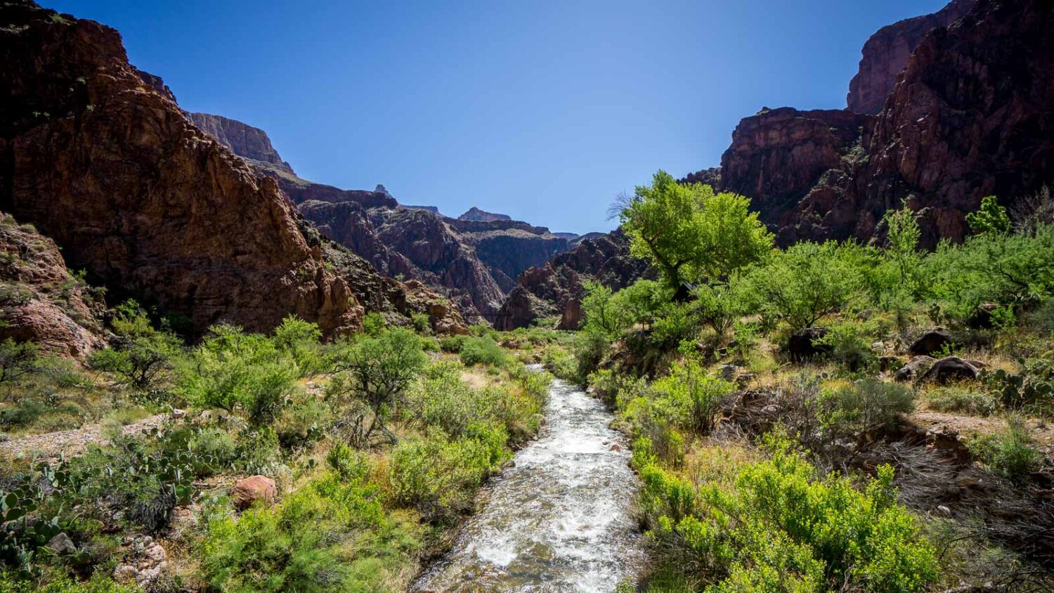 Grand Canyon Rim to Rim Trail