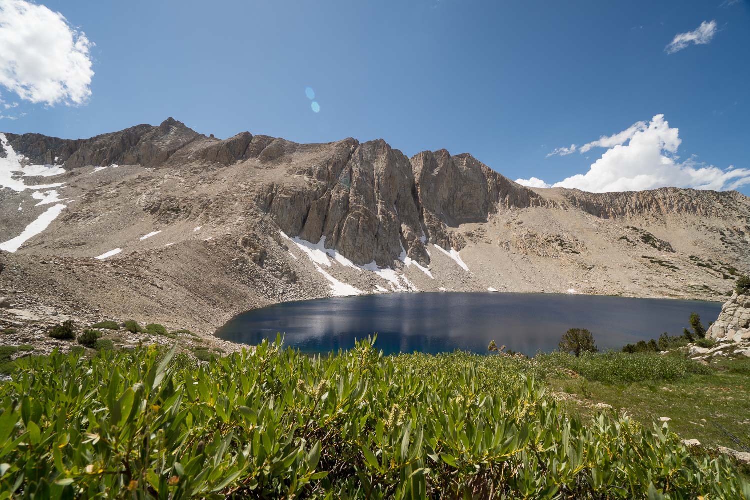 John Muir Tail