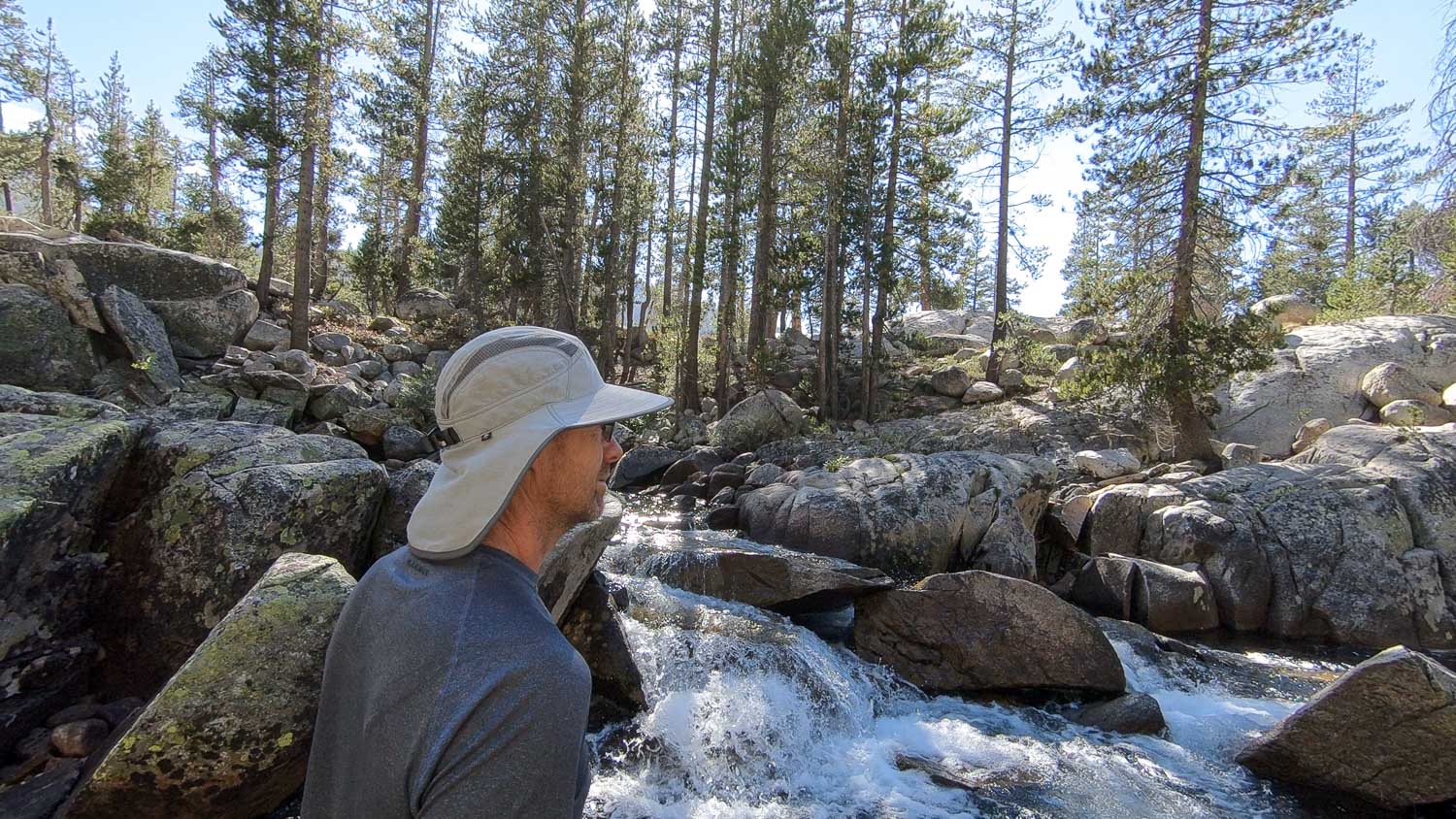 Evolution Creek