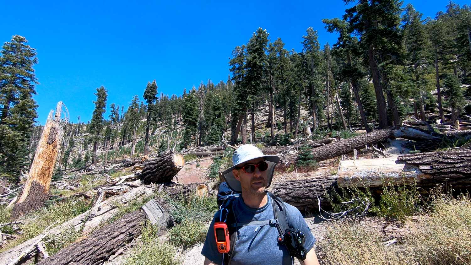Red's Meadow