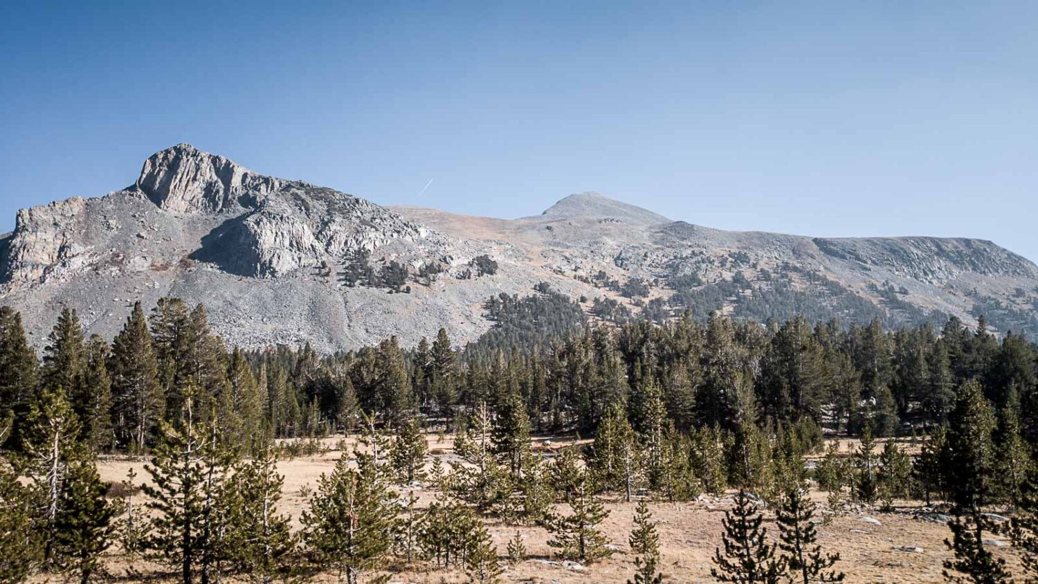 Mount Dana