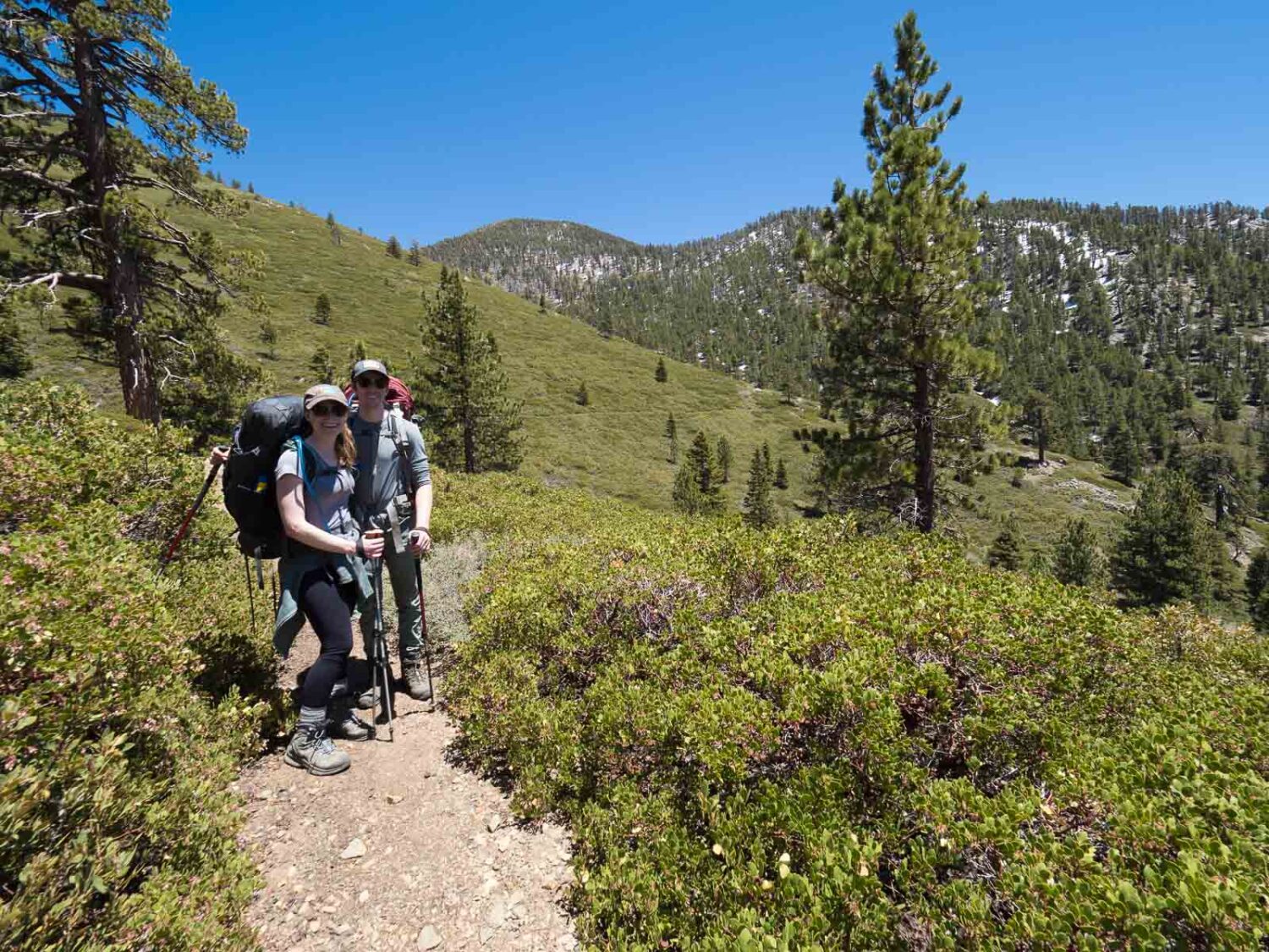 Dollar Lake Saddle