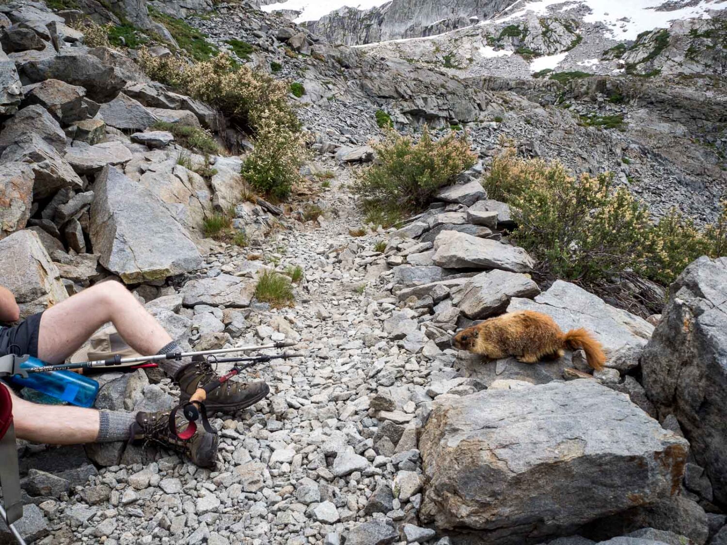 High Sierra Trail