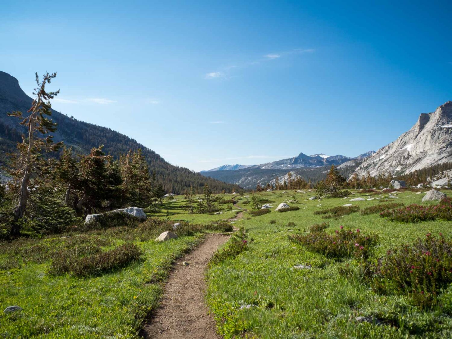 High Sierra Trail