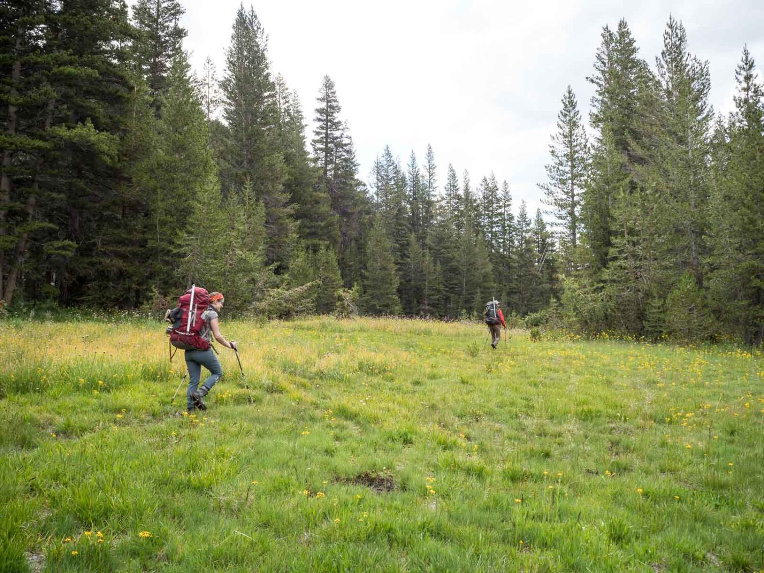 High Sierra Trail
