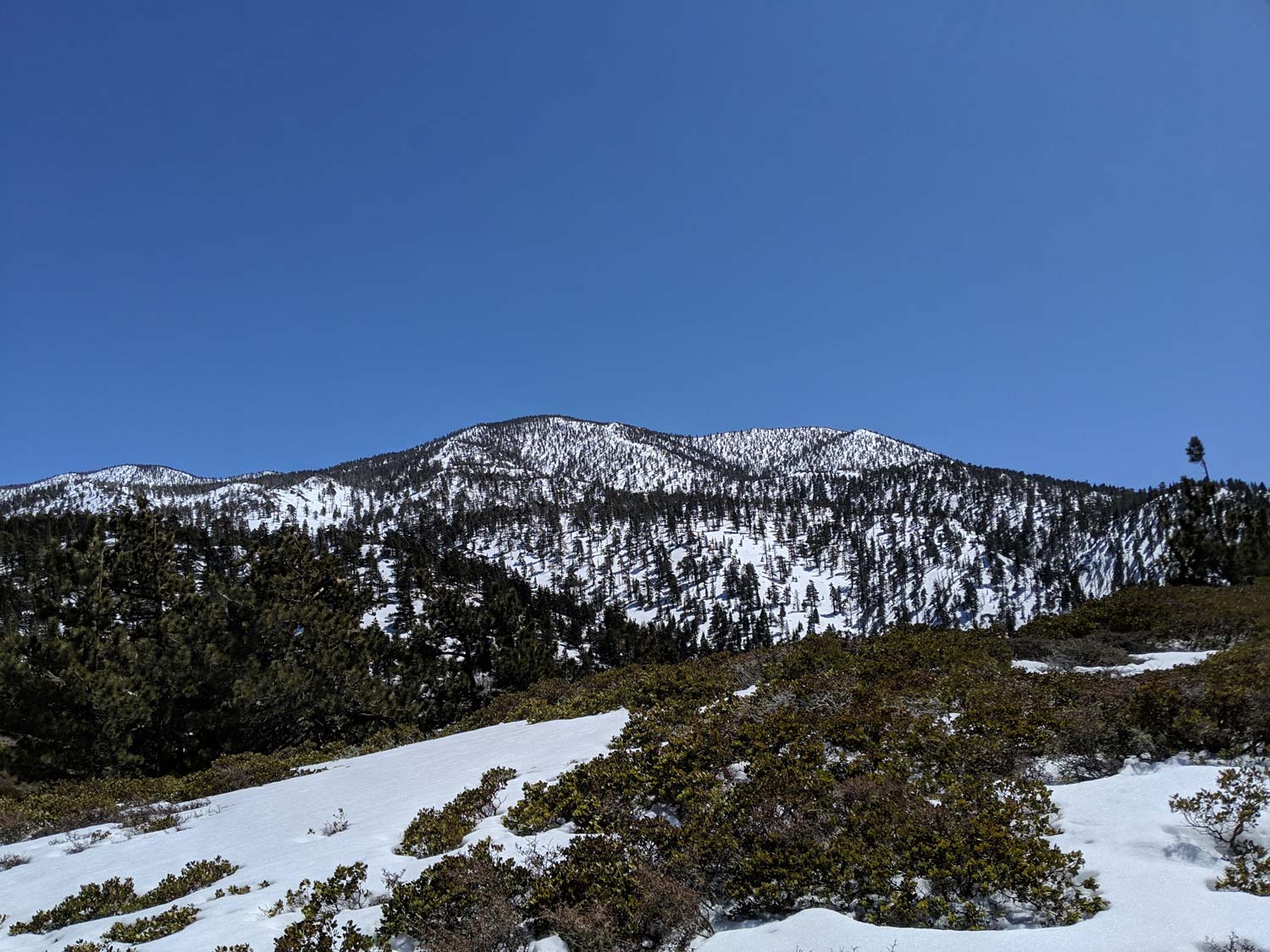 Mount Jacinto Summit